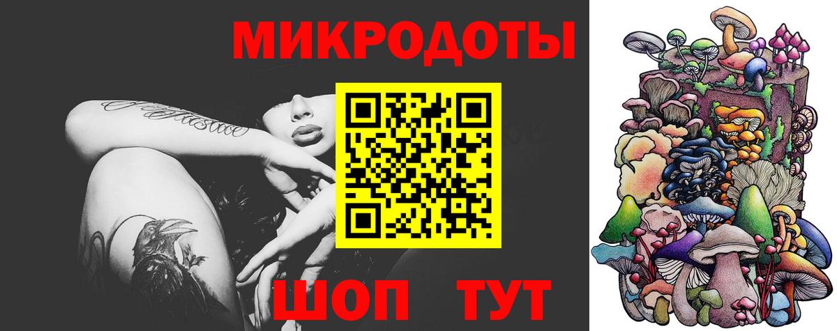 Галлюциногенные грибы Psilocybe Воткинск